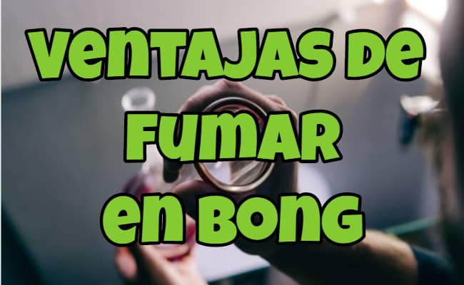 Ventajas y beneficios de fumar en bong